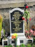 image of grave number 162337